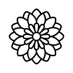 chrysanthemum flower line drawn vector art - illustration chrysanthemum flower isolated transparent background