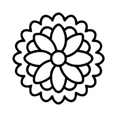 chrysanthemum flower line drawn vector art - illustration chrysanthemum flower isolated transparent background