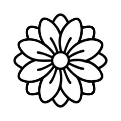 chrysanthemum flower line drawn vector art - illustration chrysanthemum flower isolated transparent background