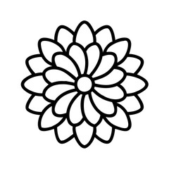 chrysanthemum flower line drawn vector art - illustration chrysanthemum flower isolated transparent background