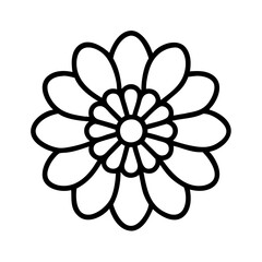 chrysanthemum flower line drawn vector art - illustration chrysanthemum flower isolated transparent background