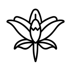 crocosmia flower line drawn vector art - illustration crocosmia flower isolated transparent background