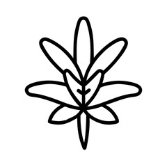 crocosmia flower line drawn vector art - illustration crocosmia flower isolated transparent background