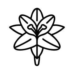 crocosmia flower line drawn vector art - illustration crocosmia flower isolated transparent background