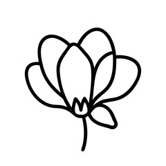cyclamen flower line drawn vector art - illustration cyclamen flower isolated transparent background