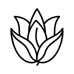 hosta flower line drawn vector art - illustration hosta flower isolated transparent background