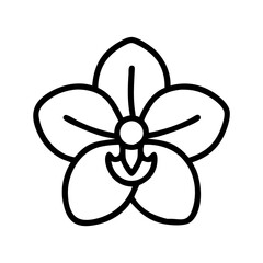 orchid flower line drawn vector art - illustration orchid flower isolated transparent background