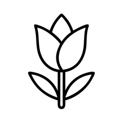 tulip flower line drawn vector art - illustration tulip flower isolated transparent background