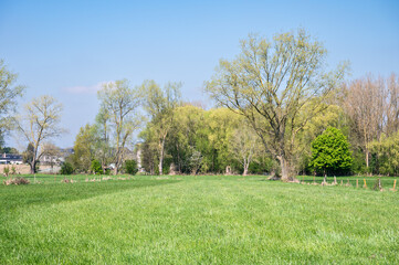Green meadows and spring season trees at the Flemish countryside in Erpe Mere, East Flemish Region, Belgium
