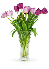 Elegant bouquet of pink and purple tulips in a clear decorative glass vase isolated on a white background