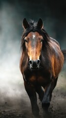 Obraz premium Beautiful brown horse galloping through misty terrain during early morning light in a natural setting