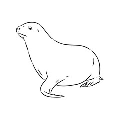 navy seal, vector sketch