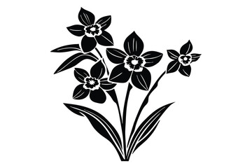 Daffodil silhouette, daffodil illustration spring silhouette, floral outline, Daffodil silhouette Icon
