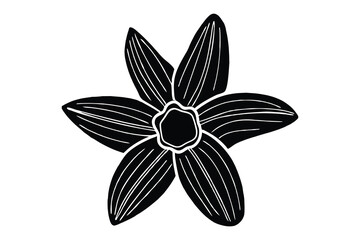 Daffodil silhouette, daffodil illustration spring silhouette, floral outline, Daffodil silhouette Icon