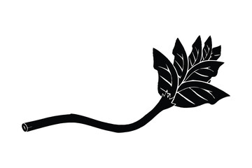 Daffodil silhouette, daffodil illustration spring silhouette, floral outline, Daffodil silhouette Icon
