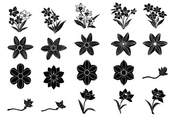 Daffodil silhouette, daffodil illustration spring silhouette, floral outline, Daffodil silhouette Icon