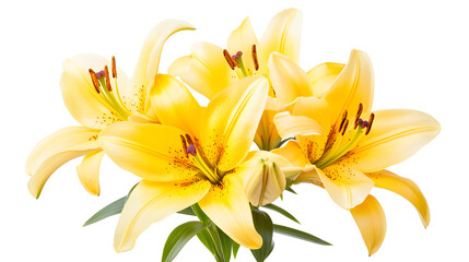 A bouquet of yellow flowers