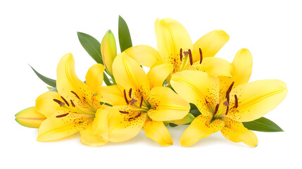 Obraz premium A bouquet of yellow flowers