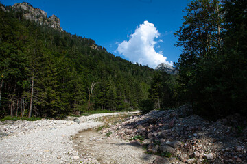 Lush greenery surrounds a winding riverbank with a rocky pathway, framed by majestic mountains under bright skies.