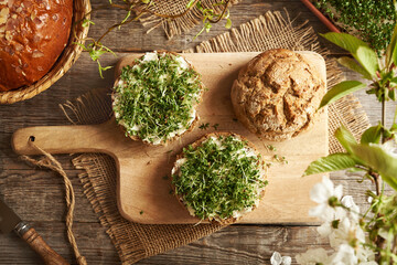 Fresh garden cress sprouts on sourdough bun with butter in spring