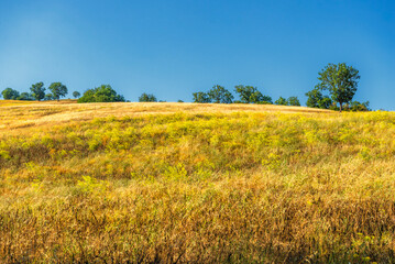 Fototapeta premium rural countryside landscape during a sunny summer day inside Val d'Agri, Basilicata