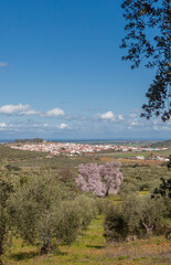 Fototapeta premium Almendro Real with Valverde de Leganes village at bottom, Badajoz, Spain
