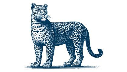 Leopard vector