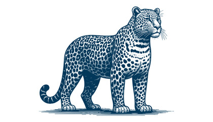 Leopard vector