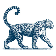Leopard vector