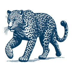 Leopard vector