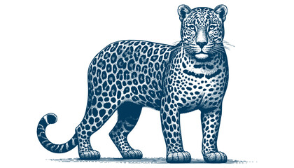 Leopard vector