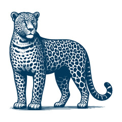 Leopard vector