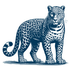 Leopard vector
