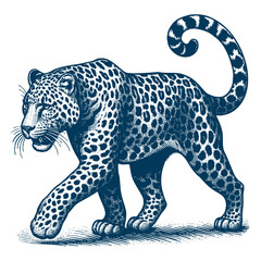 Leopard vector