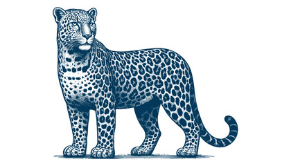 Leopard vector