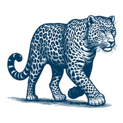 Leopard vector
