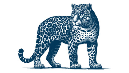 Leopard vector