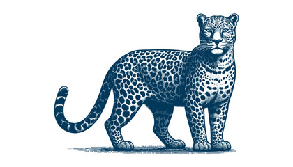 Leopard vector