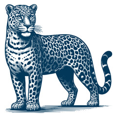 Leopard vector