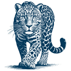 Leopard vector