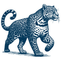 Leopard vector