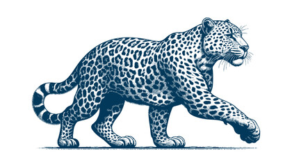 Leopard vector
