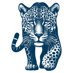Leopard vector