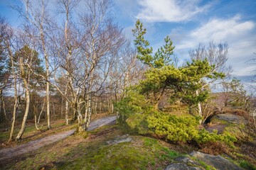 The Great Tisa Rocks - natural rock formations in Bohemian Switzerland, Wonderful rock formation Tiske steny , Czech Republic.