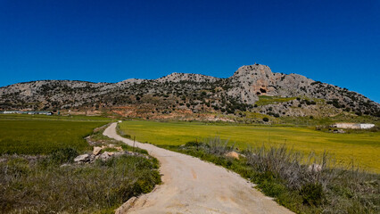 Winding dirt road crossing a yellow meadow in Andalusia, Spain