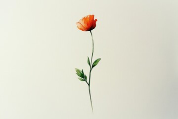 Single, vibrant poppy, delicate illustration.