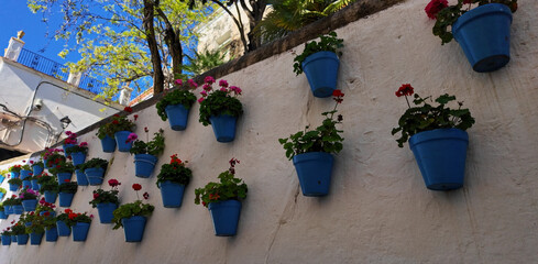 Blue flowerpots decorating a white wall in Marbella, Spain