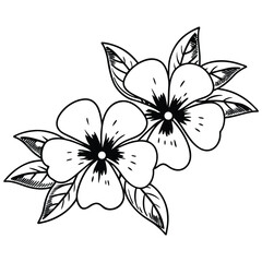 A black and white floral vector illustration in a hand-drawn style. The design should feature two large, natural-looking flowers with five rounded petals each, slightly overlapping.