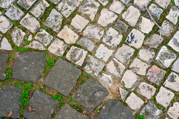 Stone pavement pattern with mixed light and dark cobblestones, subtle moss growth and natural wear, ideal for backgrounds, urban texture themes and architectural design visuals.