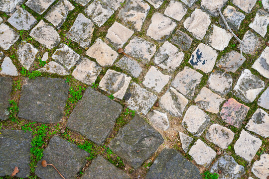 Stone pavement pattern with mixed light and dark cobblestones, subtle moss growth and natural wear, ideal for backgrounds, urban texture themes and architectural design visuals.